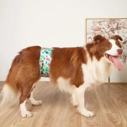 Calça fisiológica lavável para cães masculinos, Banda ajustável para envoltório da barriga, Fralda sanitária reutilizável para cães pequenos e grandes, cor aleatória, 3pcs - Image 2