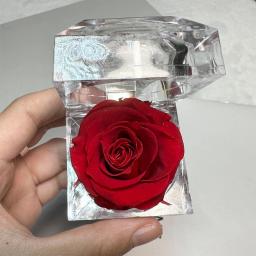 Flor Eterna Preservada com Caixa, Eterna Rosa, Presente para Dia dos Namorados, Aniversário e Aniversário, 1pc - Image 3