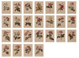 Rose Art Painting Kraft Paper, Cartão Postal Vintage, Cartão, Cartões Postais Que Podem Ser Correios, Cartão Decorativo, Adesivos De Parede, 1 Caixa - Image 3