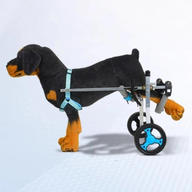 Cadeira de Rodas para Cães Leve com Suporte Completo e Quatro Rodas - Ideal para Cães Pequenos e Médios com Deficiência