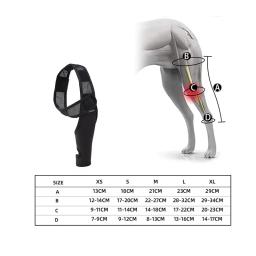 Joelheira Do Cão Para Suporte Com Lesão Do Ligamento Cruzado, Dor Articular E Dor Muscular, Melhor Recuperação Com Cinta De Joelho ACL Do Cão - Image 6
