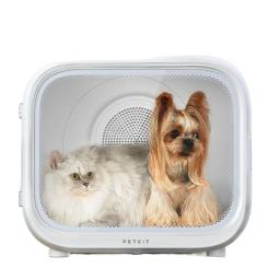 Multi Funcional Pet secador, cão ventilador, secador de beleza, alta velocidade secador para cães, gato caixa secador, robusto seguro e silencioso - Image 5