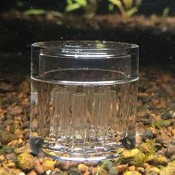 Visual Protein Worm Aquarium, fácil de usar, suprimentos para animais aquáticos, armadilha planária, remoção limpa, design visual - Image 6