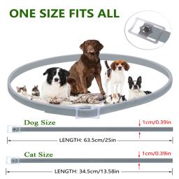 Dewel gato cachorro colar anti pulga carrapatos mosquitos ao ar livre ajustável pet coleiras 8 meses de proteção a longo prazo acessórios para animais de estimação - Image 6