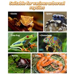 Répteis Magnéticos e Anfíbios Alimentando Ledge, Comida Pendurada, Prato de Água, Tigela de Alimentação para Gecko, Lagartos, Árvore, Rãs, Camaleões - Image 5