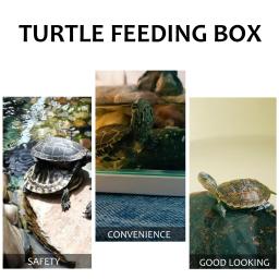 Casa para tartarugas aquáticas aquário tanque de peixes répteis grandes aquários dragão barbudo pequena caixa de acessórios terra - Image 3