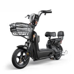As bicicletas eletrônicas assistem aos adultos em deslocamento e fornecem veículos elétricos resistentes a terremotos para áreas montanhosas e nevadas - Image 1