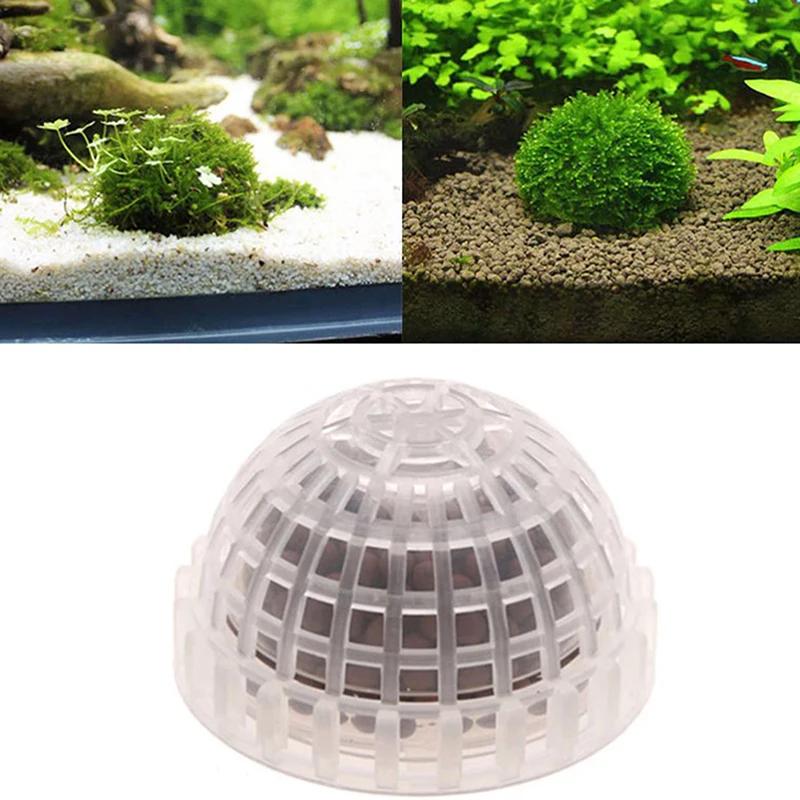 1pc aquatic suprimentos para animais de estimação decorações aquário musgo bola filtro de plantas ao vivo para java camarão tanque de peixes pet decoração do tanque de peixes - Image 1