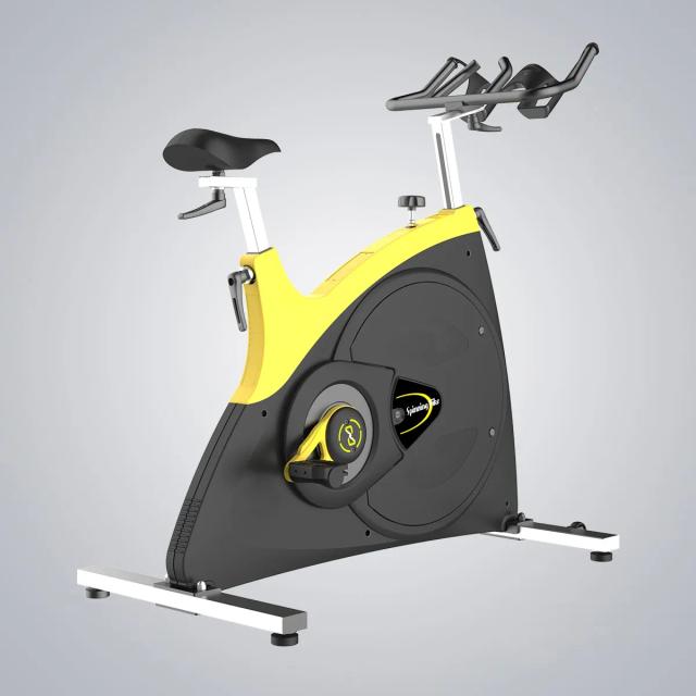 Bicicleta Dobrável com Suporte para Costas e Resistência Magnética - Ideal para Uso Comercial e Treinos Confortáveis