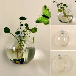 Vidro transparente Wall Mounted Vaso, semi Circular Fish Tank, Micro Paisagem, Garrafa Ecológica, Arranjo Flor Garrafa, 1 Pc - Image 3