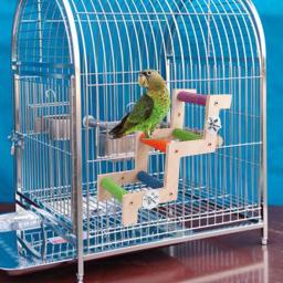 Escada De Gaiola De Pássaro De Madeira Sólida, Birds Poleiro Stand para Periquitos, Calopsitas, Pequeno Papagaio Médio Conures, Finch Bird Climbing Toys - Image 2