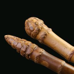 Natural bambu raiz chá cerimônia acessórios levantando pote caneta bule escova ferramentas de limpeza de bambu artesanato zen chá mesa decoração - Image 6