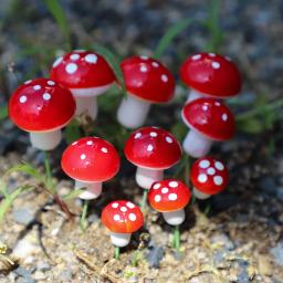 Miniaturas de Cogumelo Artificial Mini Resina, Paisagem Do Jardim De Fadas, Artesanato De Terrário De Musgo, Micro Decoração De Paisagem Em Vaso, 20Pcs - Image 3