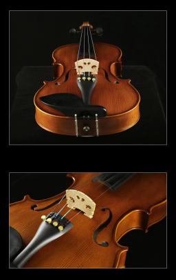 Frete Grátis Viola 13 "-15"-16.5 "Stradivarius 1715 Verniz italiano à base de óleo Viola adulto criança iniciante instrumen musical - Image 5