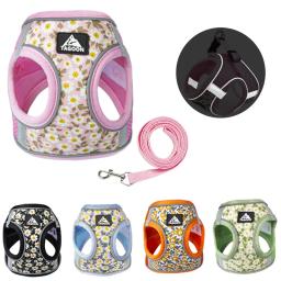 Conjunto reflexivo de arnês e trela para cães, cinta no peito para cachorro pequeno, colete de gatos chihuahua, yorkies, teddy walking suprimentos - Image 1