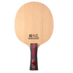 Conjunto De Raquete De Tênis De Mesa Profissional, Raquete De Ping Pong, Espinhas-em Madeira Pura, Alta Qualidade, Lâmina Bat, Pá, Punho Longo - Image 2