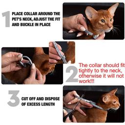 Animal de estimação pulga e colar de carrapato para cães gatos até 8 mês pulga collar prevenção de carrapatos anti-mosquito e repelente de insetos suprimentos de cachorro - Image 5