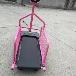 YS-C100W Pet Dog esteira, Animal Home Exercício Equipamentos, cão Suprimentos - Image 2
