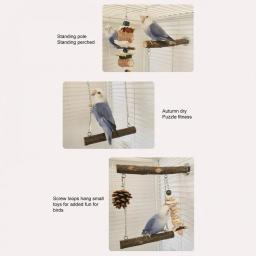 Papagaio Stand Swing Brinquedos com poleiro de madeira, quebra-cabeça resistente à mordida, Fitness Bird Perch, Trapeze Stick for Lovebird and Cockatiel - Image 5