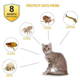 Coleira antipulgas ajustável para animais de estimação, carrapatos, mosquitos, ao ar livre, proteção de longo prazo, filhotes, gatos, cães, 8 meses, novos acessórios - Image 4