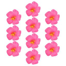 Flores Tropicais Artificiais para Fazer Cabelo, Hibiscus, Luau, Coroa, Festa da Videira, Havaiano, 10Pcs - Image 2