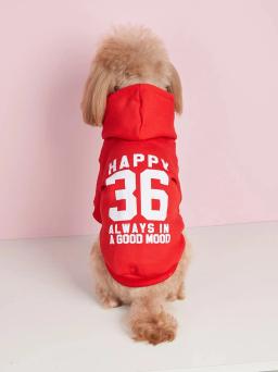 Roupas impressas em veludo confortáveis para animais, moletons quentes para cães e gatos, simples e trela - Image 3