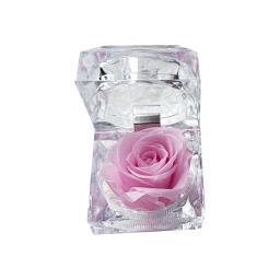 Flor preservada Rosa com gaveta, Caixa de presente, Nunca murchou, Dia dos Namorados, Aniversário e Aniversário - Image 4