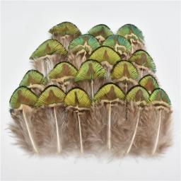Pena de faisão de pavão natural pequena ganso frango penas plumas diy artesanato festa acessórios de casamento jóias decorativas - Image 4