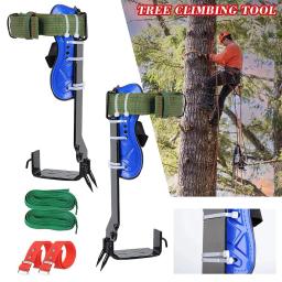 Picos de Sobrevivência de Montanhismo, Equipamento de Escalada, Garras 2 ou 1, Esteiras 10 'a 20 '', Sobrevivência na Selva - Image 4