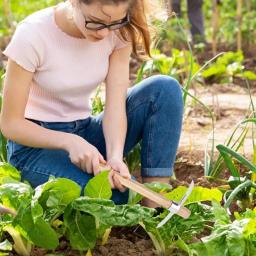 2 em 1 escavação picareta eixos com alça multifuncional de aço inoxidável mão picareta machado jardim eficiente picareta jardinagem ferramenta mão - Image 2