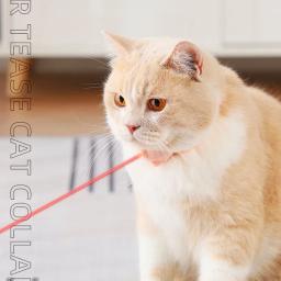 Inteligente Laser Infravermelho Cat Pen, Gato Brinquedos, Self-Entertainment, carregamento, Pet fornecimentos - Image 1