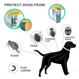 Coleira antiparasitária para animais de estimação, coleiras retráteis para cães e gatos, carrapatos antipulgas, acessórios para cachorros grandes, 38 cm, 70cm, novo - Image 4