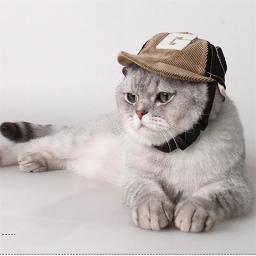 Boné de beisebol com orelhas para cães, chapéu ajustável, protetor solar, esportes ao ar livre, cães pequenos médios e grandes - Image 4