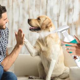 260ml pulgas e carrapatos animais de estimação pulverizador cães e gatos ação rápida remoção de carrapatos o pulverizador da pele do animal de estimação remove naturalmente apropriado para a família do animal de estimação - Image 5