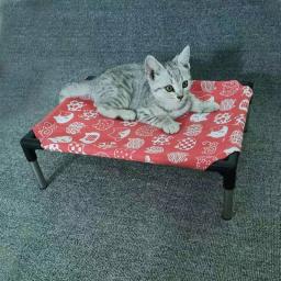 Pet Refrigeração Elevada Dog Bed, portátil destacável levantada Pet Berços para Indoor e Outdoor Viagem Camping Suprimentos - Image 5
