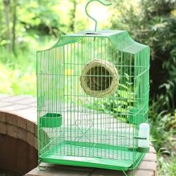 Distribuidores de água para gaiolas, copos, garrafas, pardais, papagaios, periquitos, calopsitas, Lovebirds alimentador e Waterer - Image 4