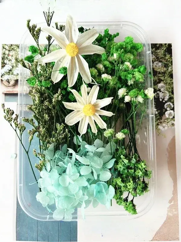 Pacote Completo de Materiais para Artesanato com Flor Seca, Eterna e DIY para Decoração de Casamentos e Festas