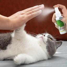 Cat Catnip Spray para gatinhos e gatos, ingredientes saudáveis, fácil de usar, suprimentos seguros para animais, atraente, 50ml - Image 2