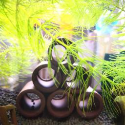 Grande Decoração De Aquário De Cerâmica Camarão De Peixe Abrigo Casa Cerâmica Escorpião Casa Canister Simulação Decoração De Tanque De Peixe De Pedra - Image 4
