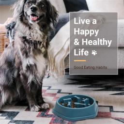 Tigela de comida anti-asfixia para cães, Alimentadores lentos para cães, Alimentador para animais de estimação dieta saudável - Image 6