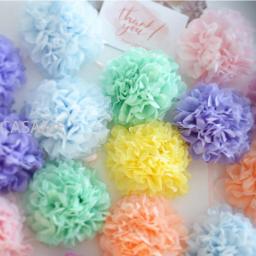 Pompons De Papel Tissue Para Decoração De Festa, Bolas De Flores, Festival De Casamento, Artesanato Home DIY, Suprimentos De Pom Poms De Papel, 10 cm, 15 cm, 20 cm, 25 cm, 30cm, 5Pcs - Image 2