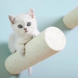 Suporte de parede para gatos, arranhador, sisal, corda, árvore, para animais de estimação, escalada, torre, brinquedo, móveis para gatos - Image 2