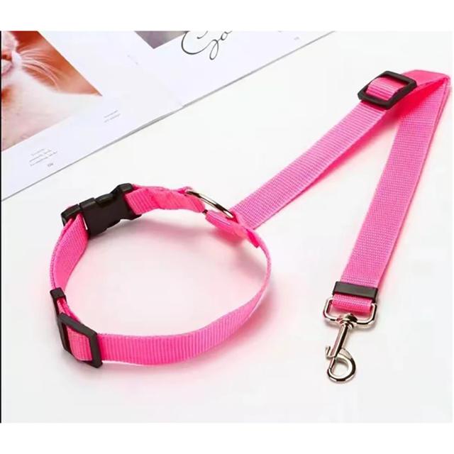 Trela de Nylon para Cães com Gancho Duplo e Cinto de Corrida Ajustável em Imitação de Cinta