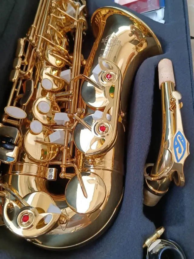 Saxofone Eb Alto Profissional com Acessórios em Bronze Ouro para Desempenho Musical 802