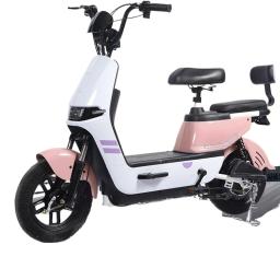 Bicicleta elétrica de íon de lítio para adultos, bicicleta leve de liga de magnésio para homens e mulheres, bicicleta assistida por energia - Image 5