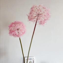 Flor dente-de-leão artificial para arranjo DIY, acessórios florais, buquê de casamento, foto adereços, decoração Home Table Room, branco e rosa - Image 2