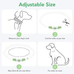 Coleira luminosa com carga leve LED, colar de gato, coleira de segurança piscando DIY brilhante, acessórios para animais noturnos, moda - Image 6