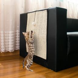 Sisal Coçar Board para Gatos, Protege Sofá de Gatos, Uma Variedade de Estilos, Disponível, Alta Qualidade, Venda Quente - Image 6