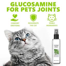 Herbal Cat Joy Catnip Spray, Mysterious Cat Joy, Aipo Animais De Estimação, 1Pc, 3pcs - Image 1