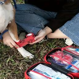 Cão e gato viajando kit de primeiros socorros, suprimentos de emergência, pet manual de primeiros socorros para caminhadas, camping e caça, 127 - Image 6